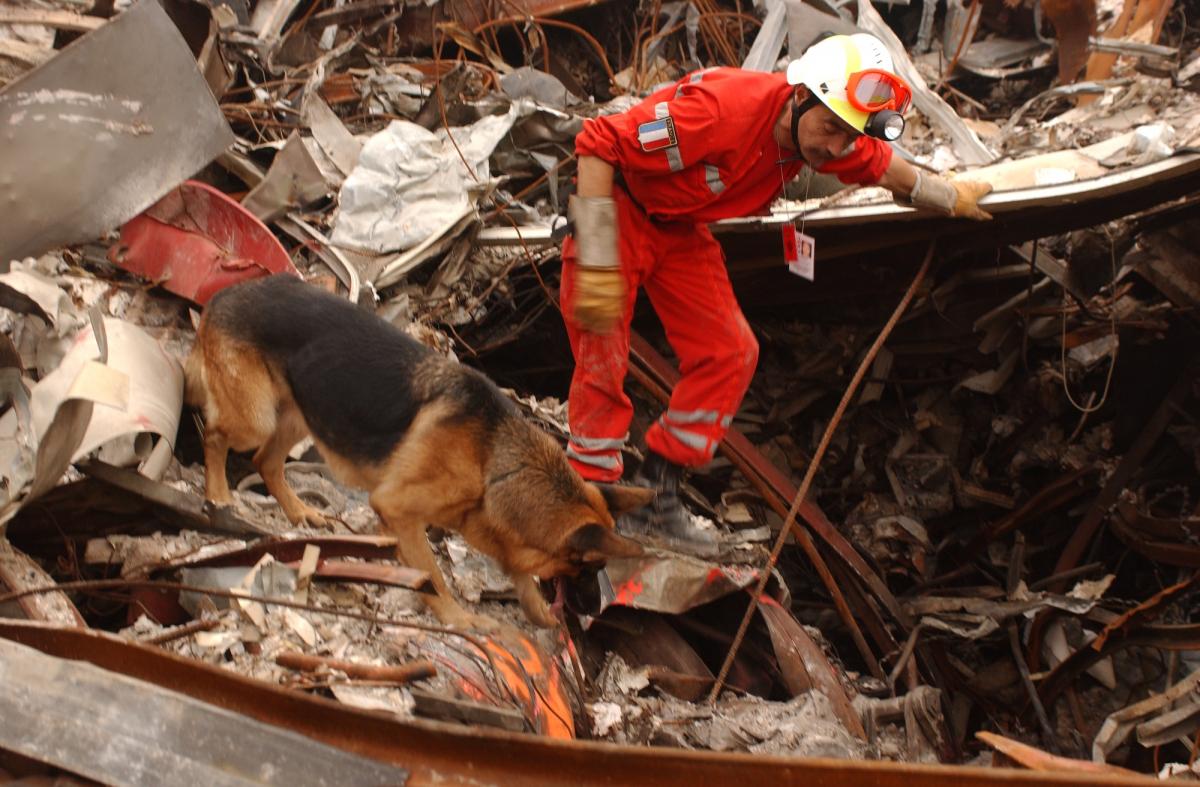 Cynthia Otto (center) provided veterinary assistance at Ground Zero for canine search teams. Photo courtesy of Penn Vet Working Dog Center.