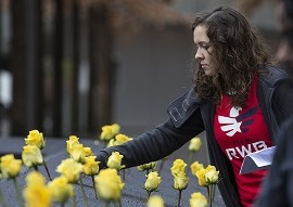 A member of Team Red, White and Blue places yellow roses in the 9/11 Memorial parapets in honor of Veterans Day. Photo by Jin Lee. 