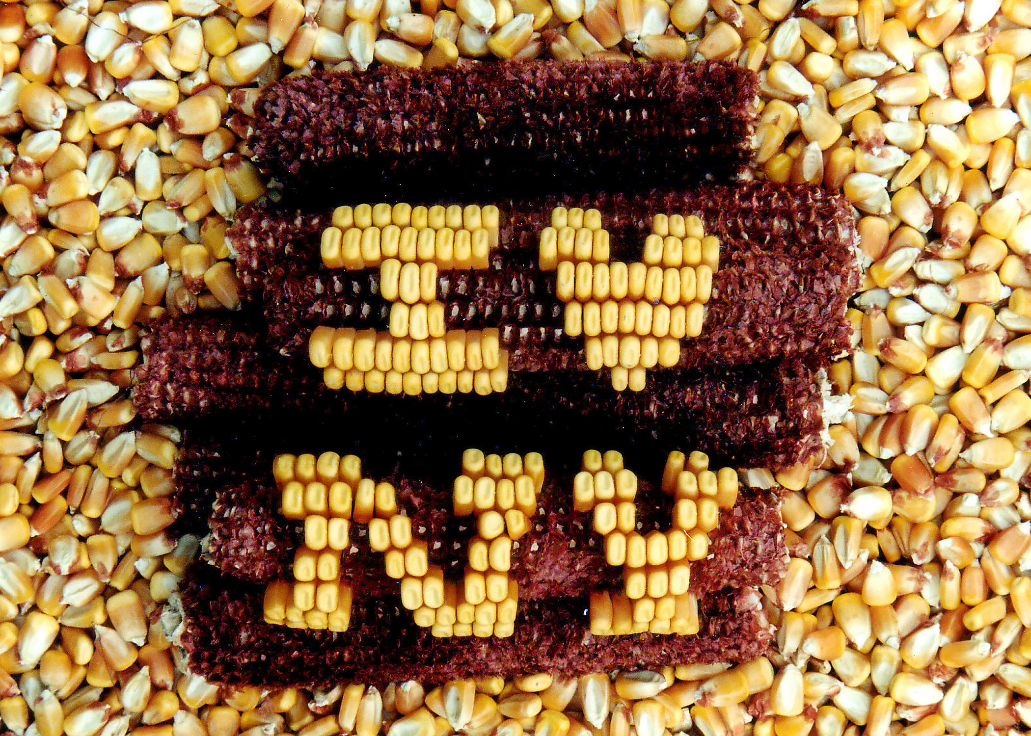 Iowa corn "I Love NY"