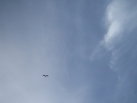 593231_206.jpg