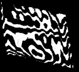 593306_269.jpg