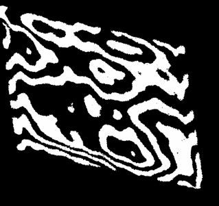 593306_275.jpg