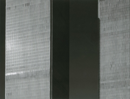 593396_1290.jpg