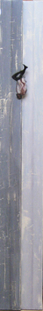 594666_1854.jpg