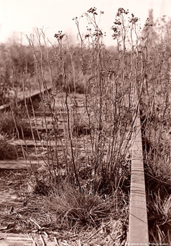 594686_1891.jpg