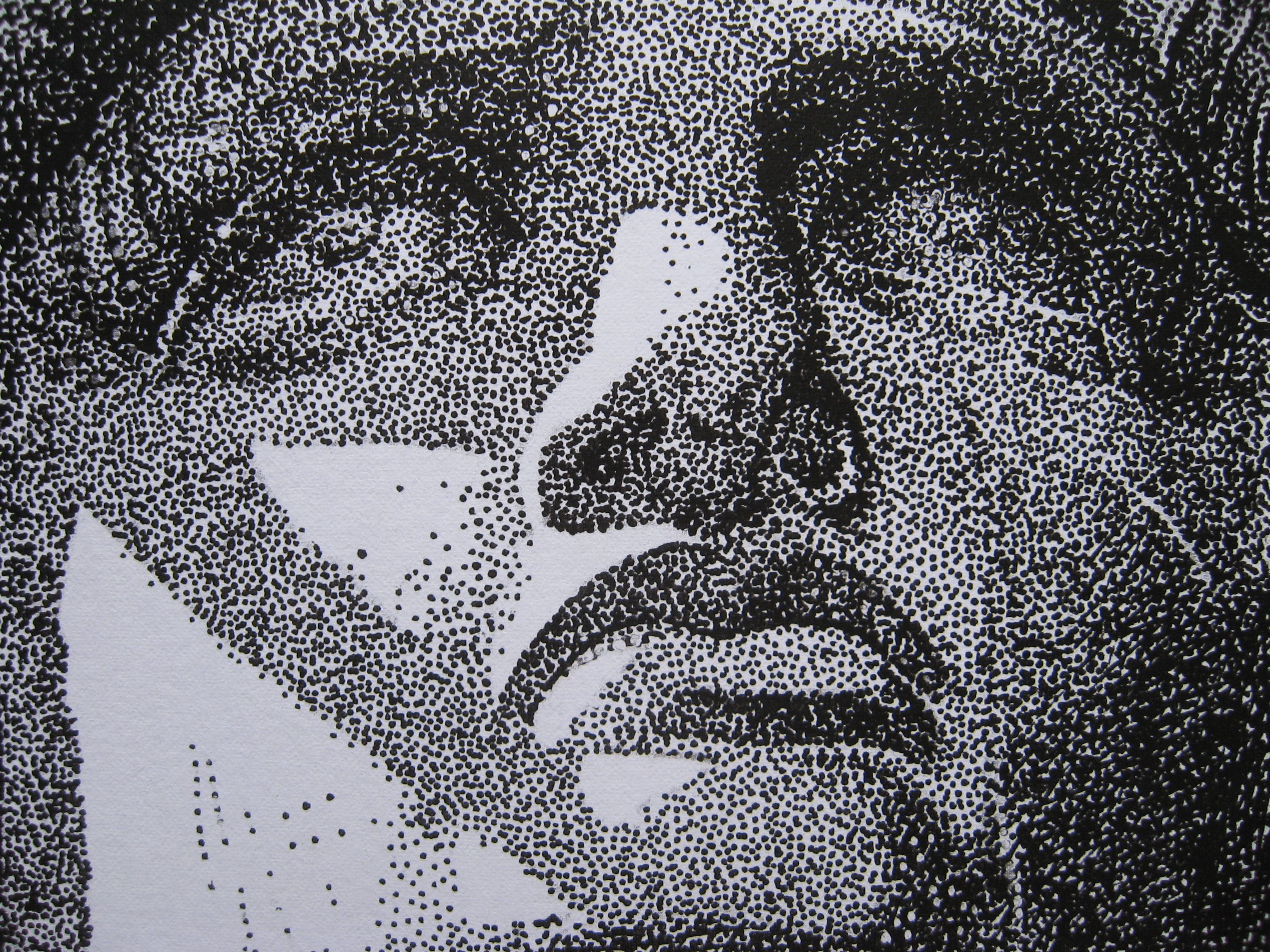 595531_2380.jpg