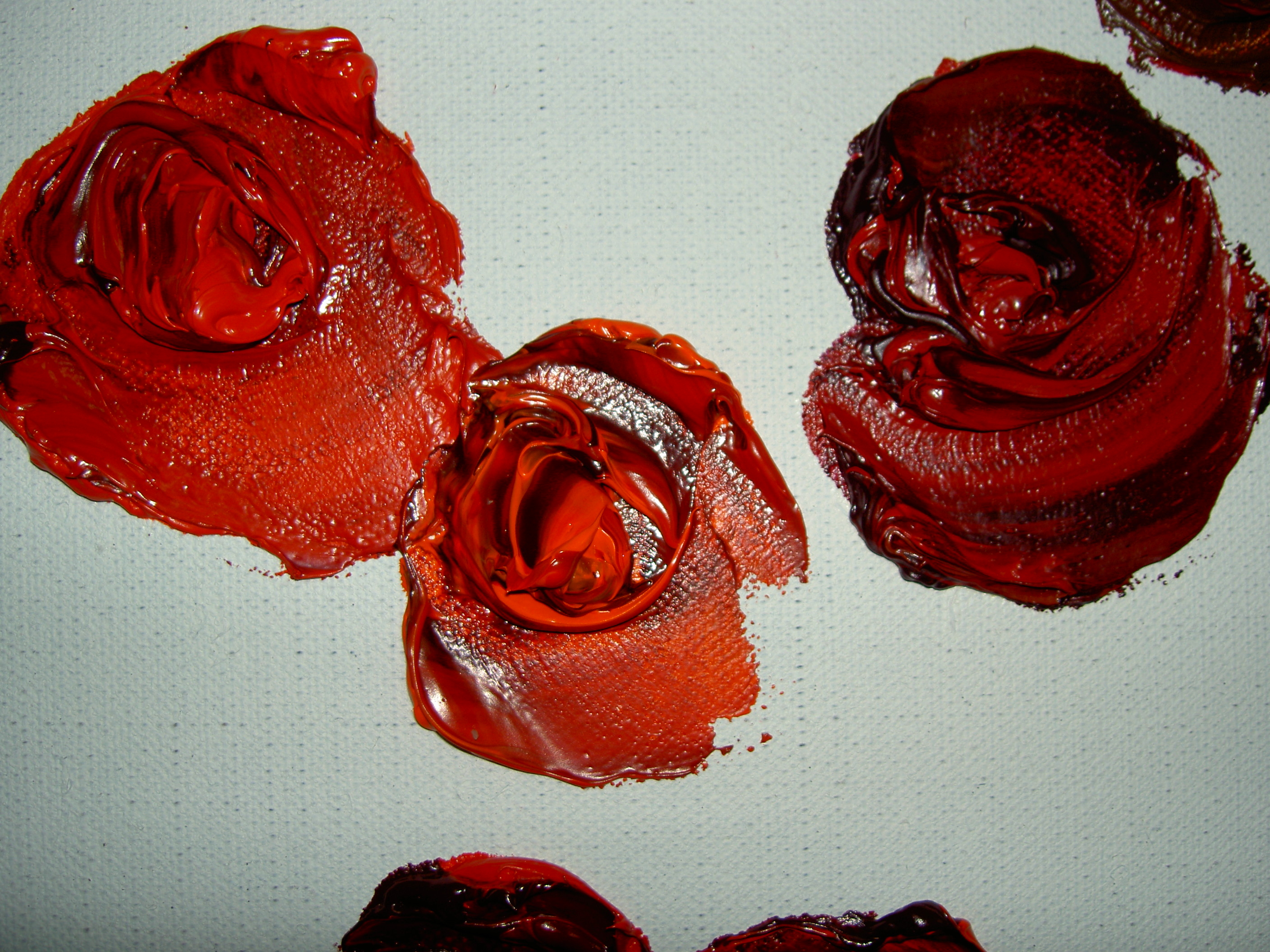 595741_2447.jpg