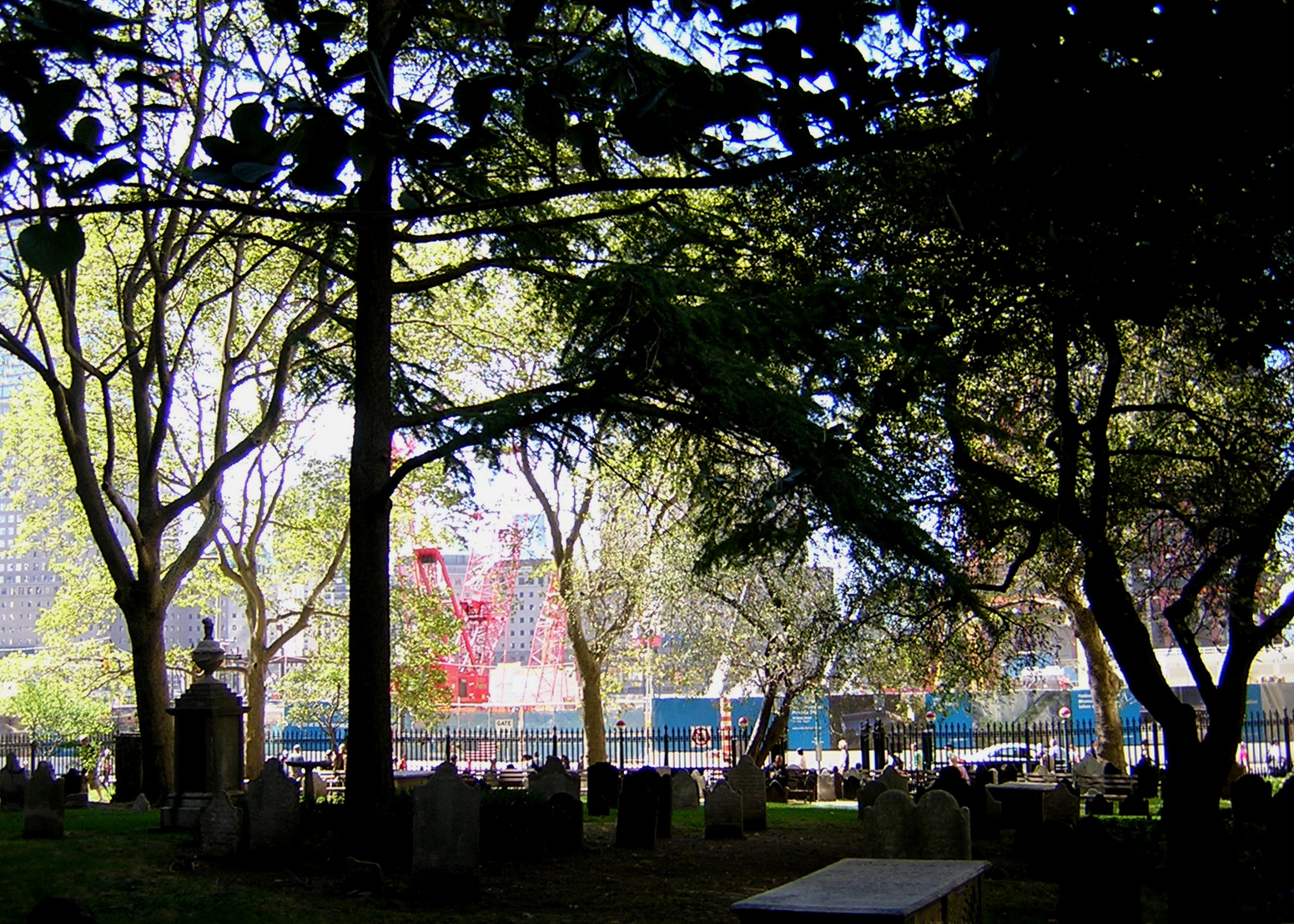 595766_2456.jpg