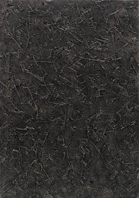 595881_2513.jpg