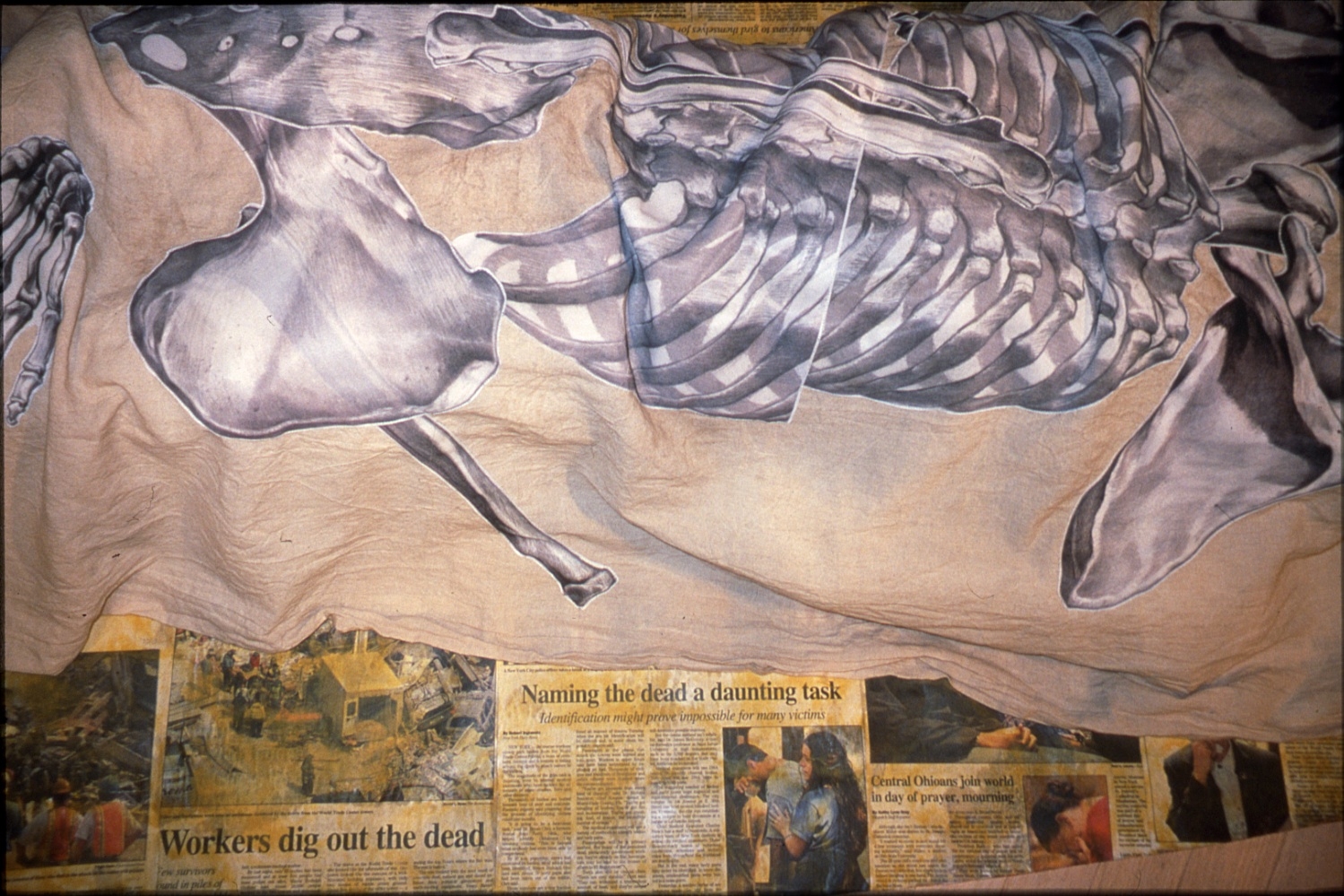 596511_2962.jpg