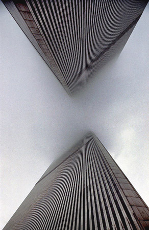 597441_3672.jpg