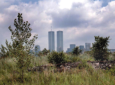 597441_3689.jpg