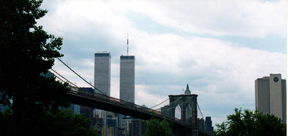 599336_4779.jpg