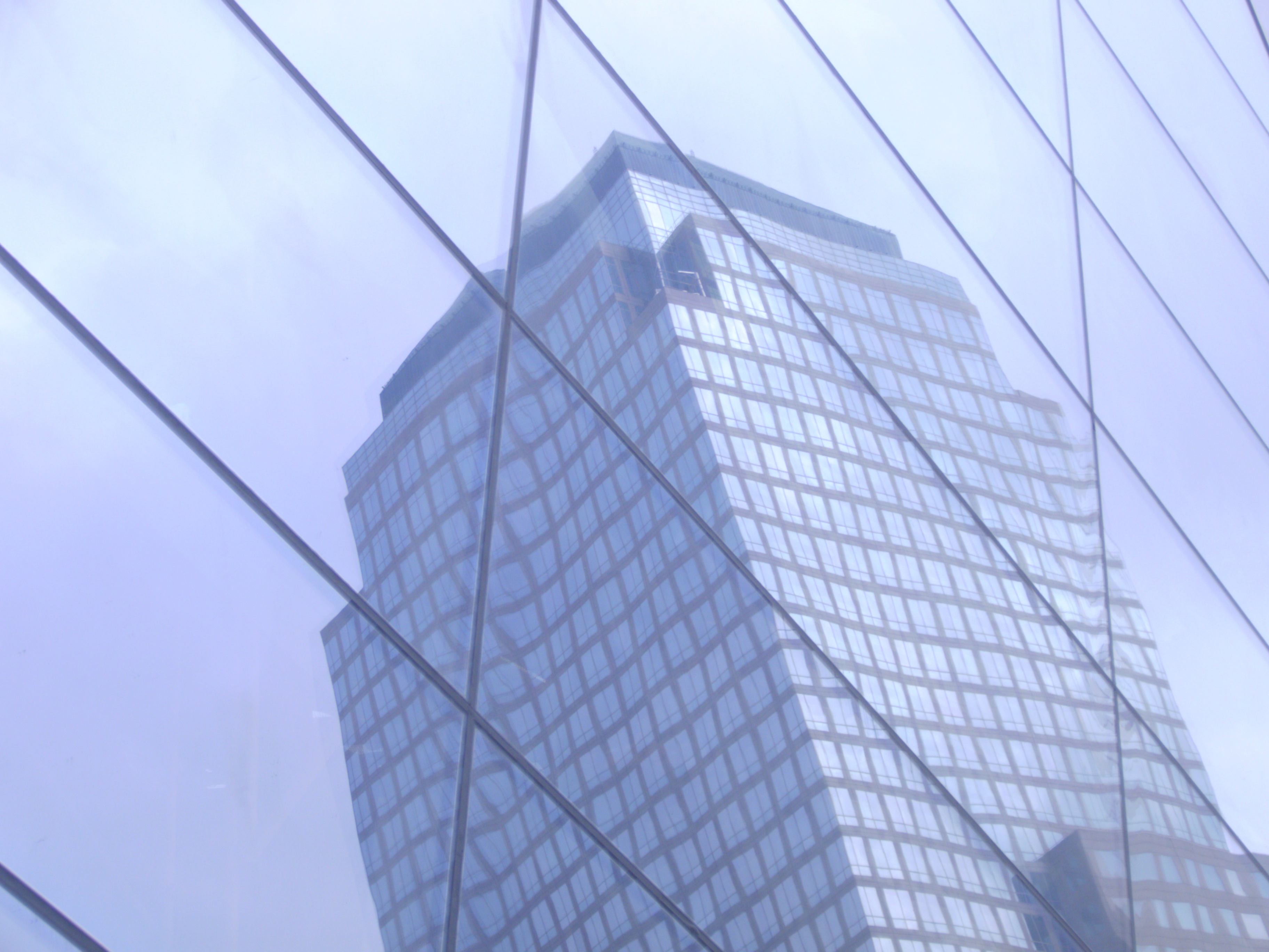599471_4816.jpg