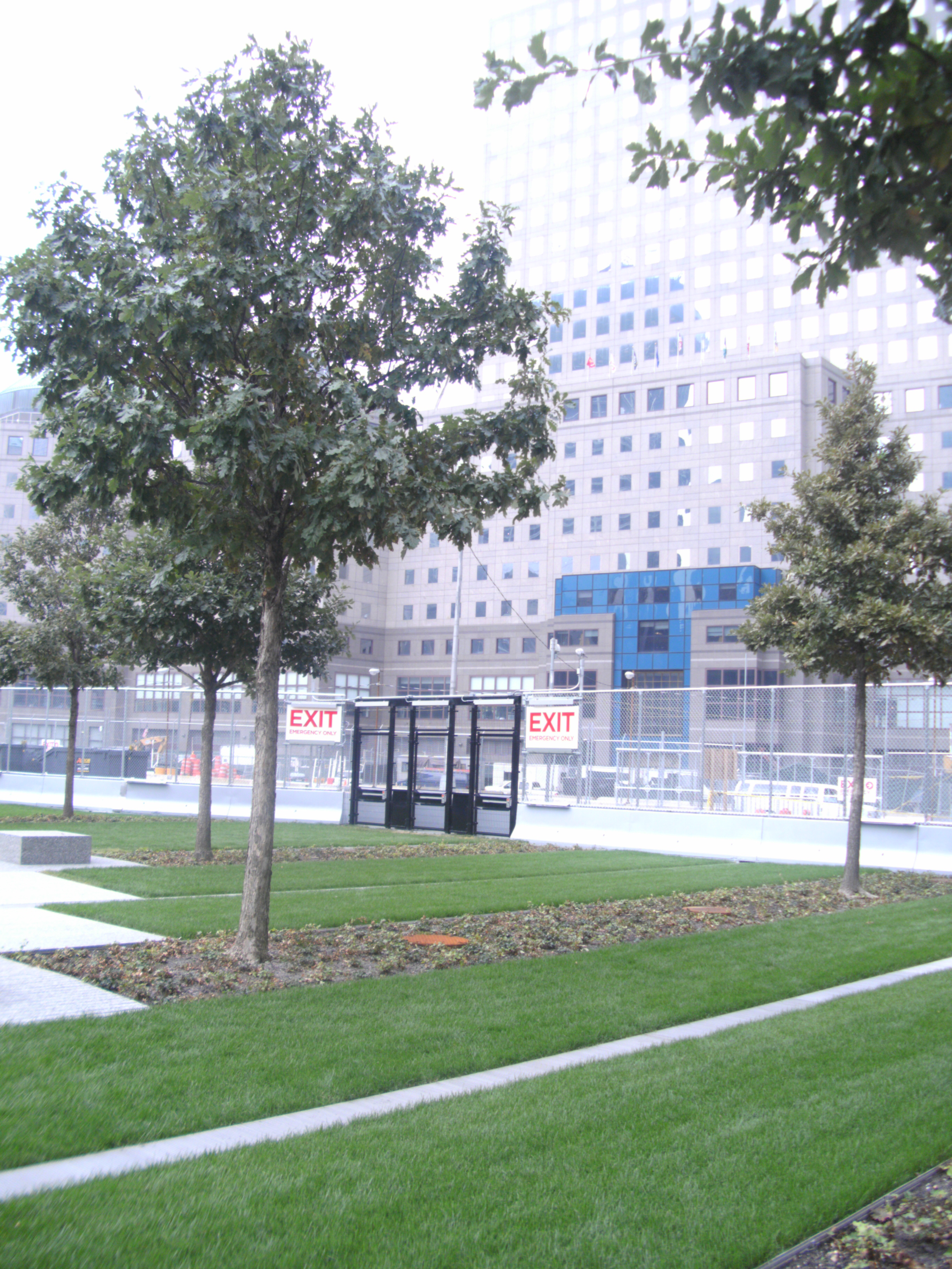 599471_4819.jpg