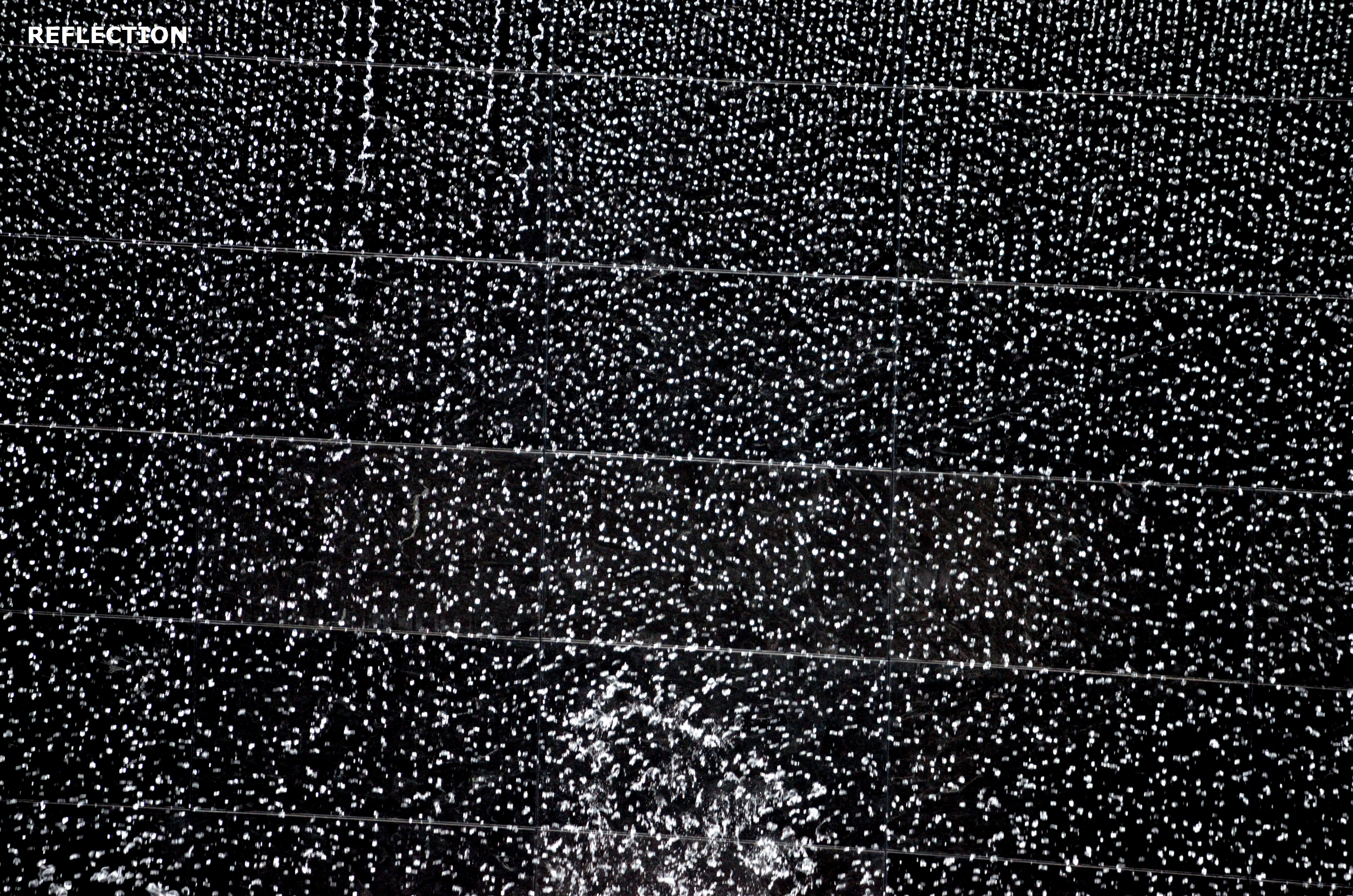 600011_5203.jpg