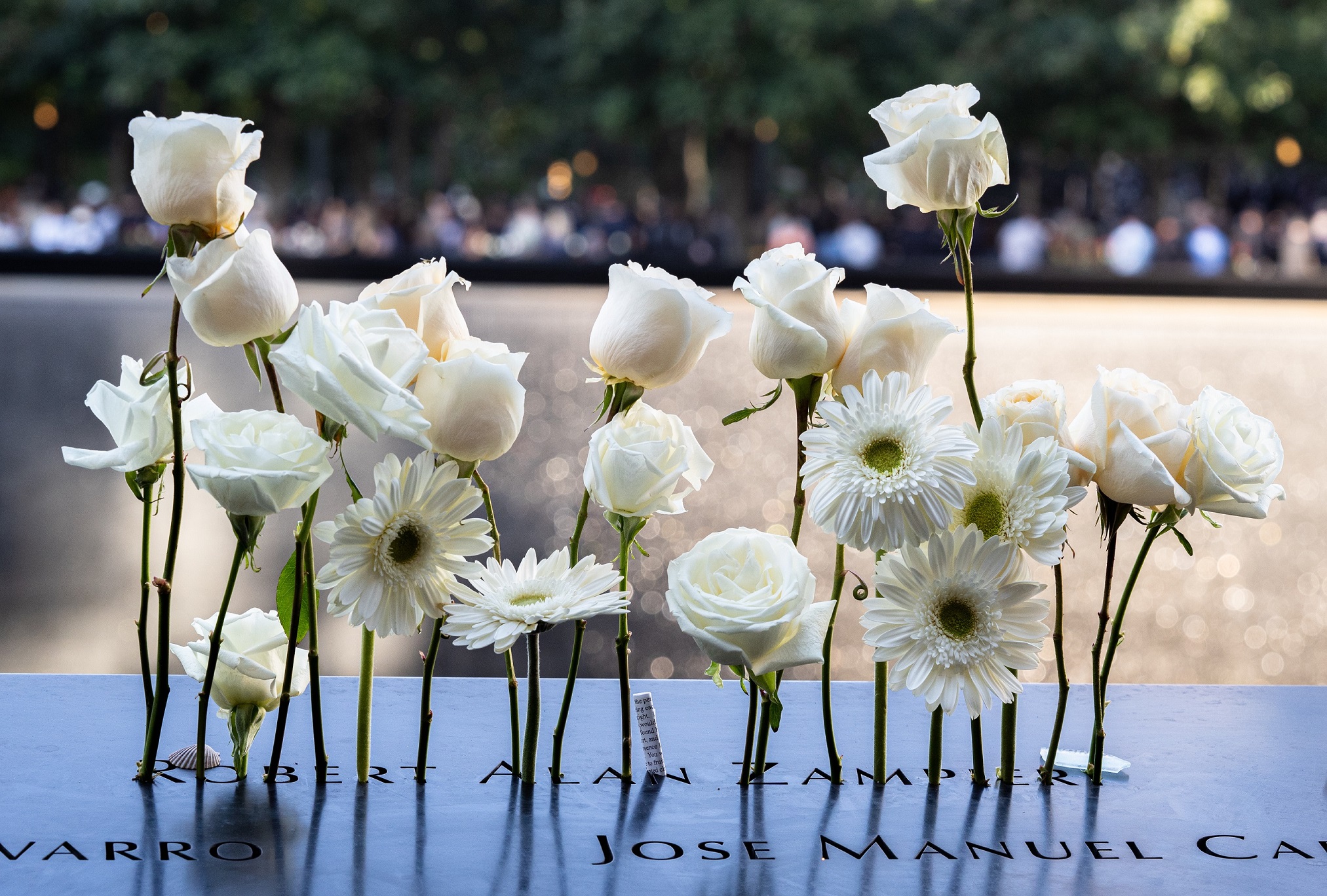 White flowers on the Memorial