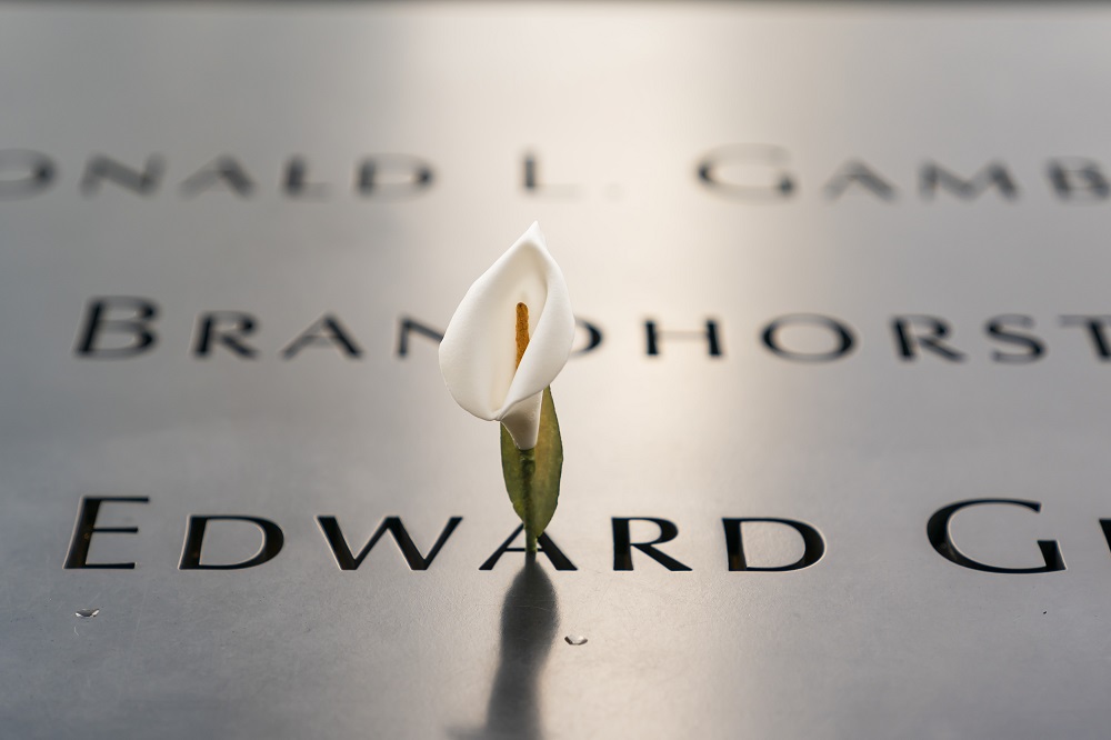 A single white lily is left in the names parapet.