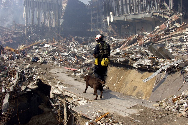 A man in a hardhat and a dog walk along a path cleared of rubble at Ground Zero.