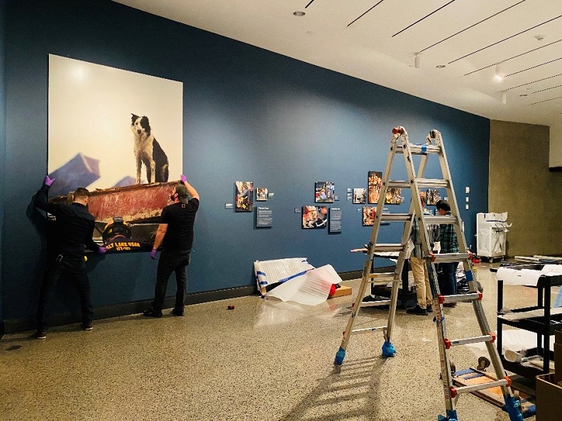 A photo of the installation of "K-9 Courage" exhibition. 