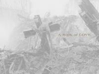 A poetry book made from the last messages of those who never made it home. A book of Love. 