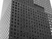 593306_265.jpg