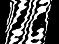593306_268.jpg