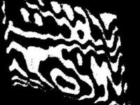 593306_269.jpg