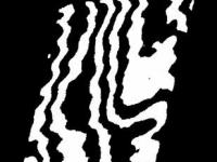 593306_273.jpg