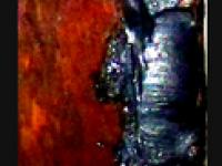 593421_798.jpg
