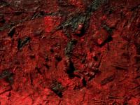 593591_5404.jpg