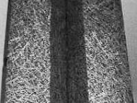 594281_1634.jpg