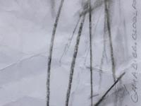 594581_1783.jpg