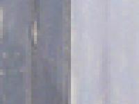 594666_1854.jpg