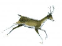 594836_5441.jpg