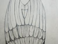 596996_3296.jpg