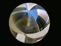 597116_3395.jpg