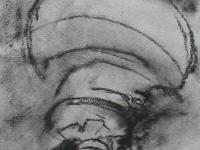597316_3718.jpg