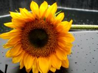 598896_4611.jpg