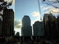 599006_4677.jpg