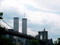 599336_4779.jpg