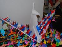 599721_5036.jpg