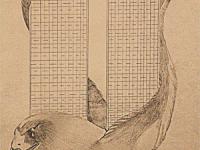 599846_5110.jpg