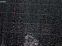 600011_5203.jpg