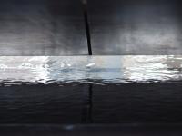 600011_5206.jpg
