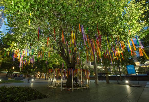 the Survivor Tree is decorated with ribbons for those lost in the Orlando Shooting